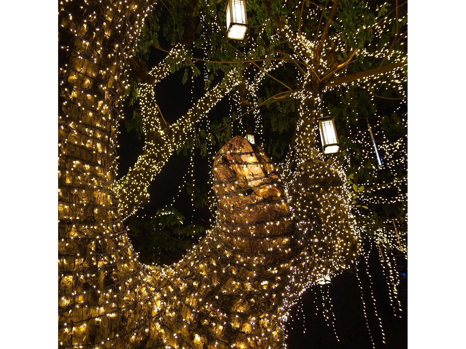 Ghirlanda luminosa solare 16.3M YOGY