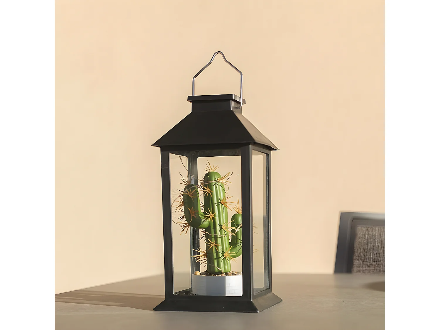 Lanterne végétale solaire PABLO Noir Verre H35cm