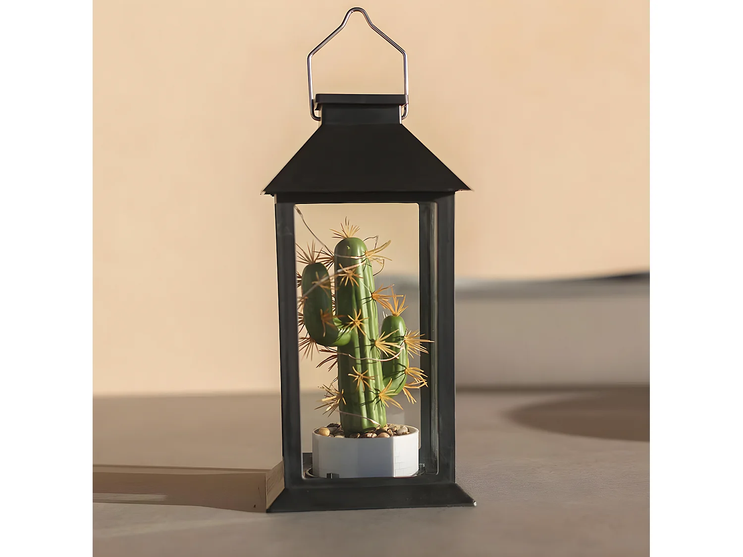 Lanterne végétale solaire PABLO Noir Verre H35cm