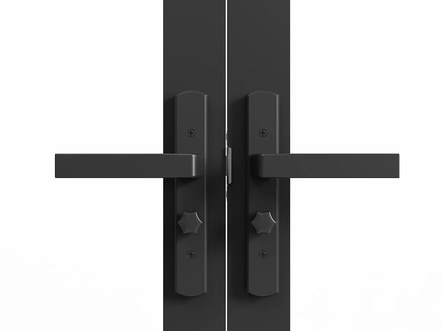 Tür-Set - zwei Flügel - Aluminium & Sicherheitsglas - 204 x 146 cm - Schwarz - SEROTO