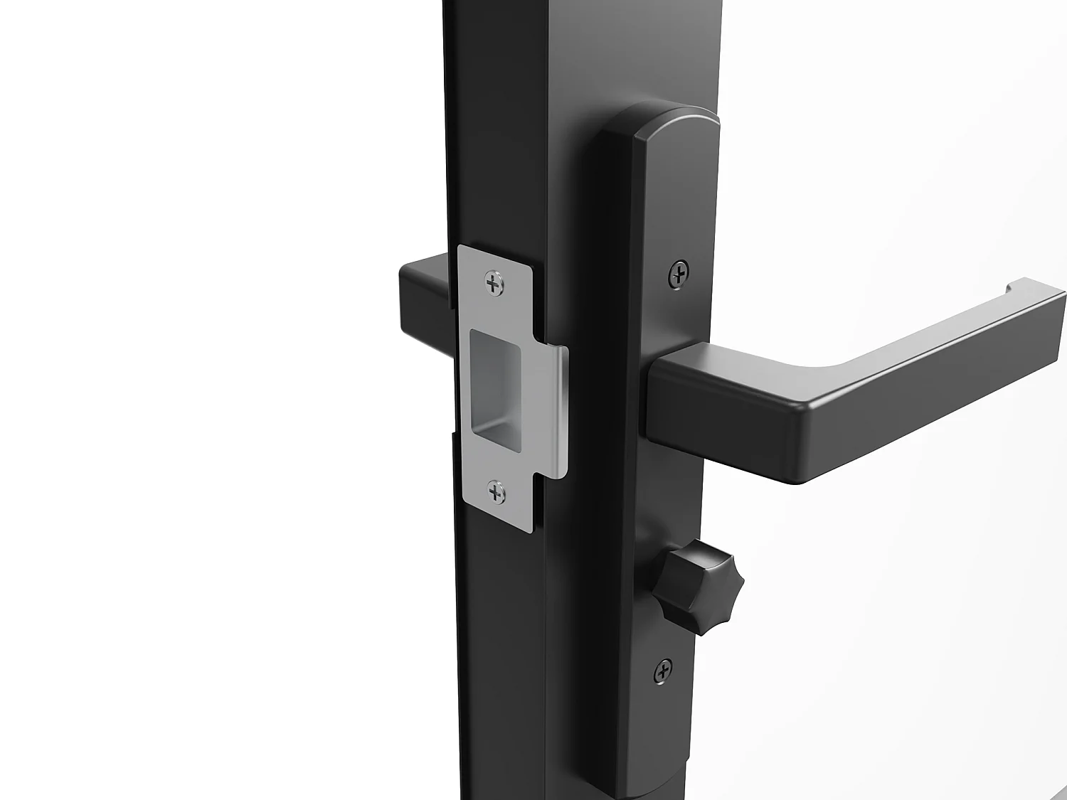 Omkeerbare dubbele deur van aluminium en gehard glas - Zwart - 2 x H204 x B73 cm - SEROTO