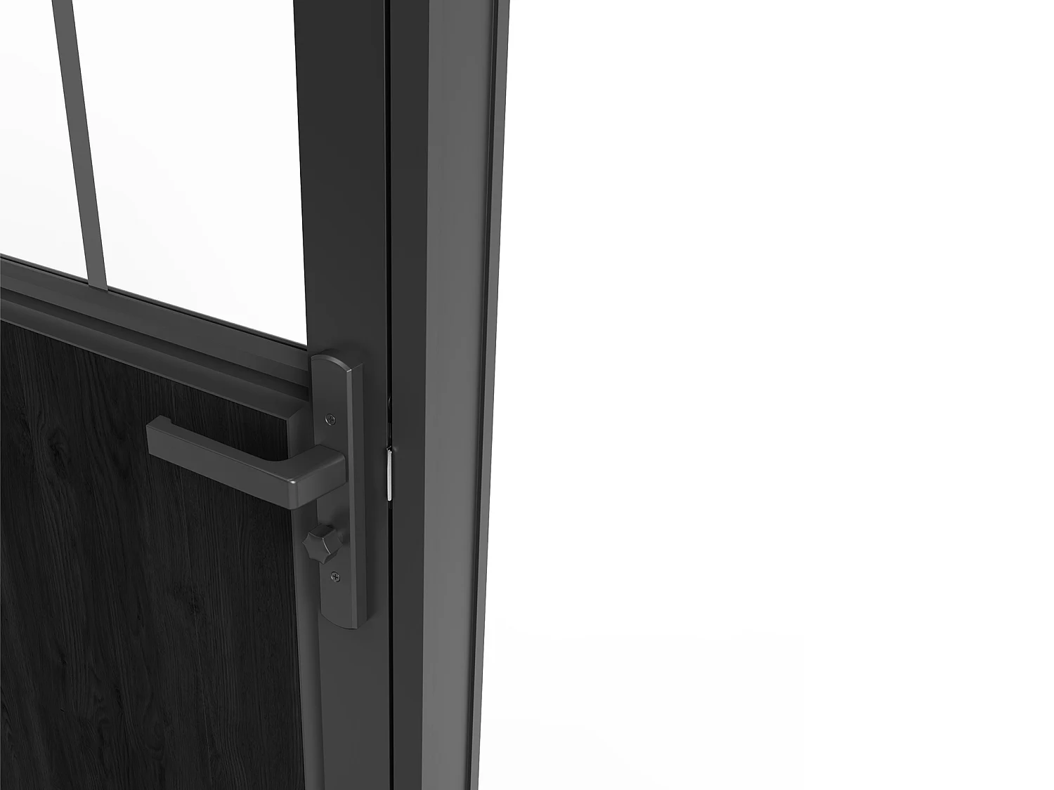 Bloc porte réversible en aluminium et verre trempé style atelier - H204 x L93 cm - Noir - ERMELO