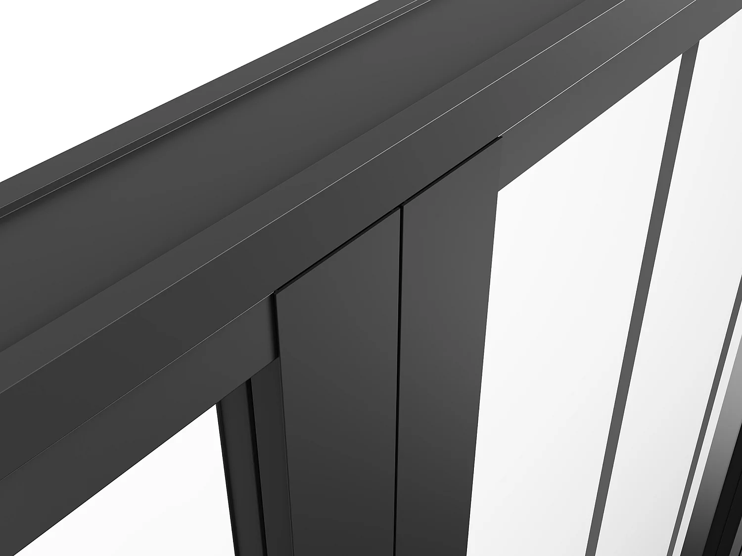 Omkeerbare dubbele deur van aluminium en gehard glas met werkplaatsstijl - Zwart - 2 x H204 x B73 cm - ERMELO