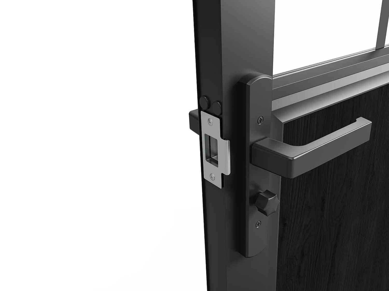 Omkeerbare dubbele deur van aluminium en gehard glas met werkplaatsstijl - Zwart - 2 x H204 x B73 cm - ERMELO