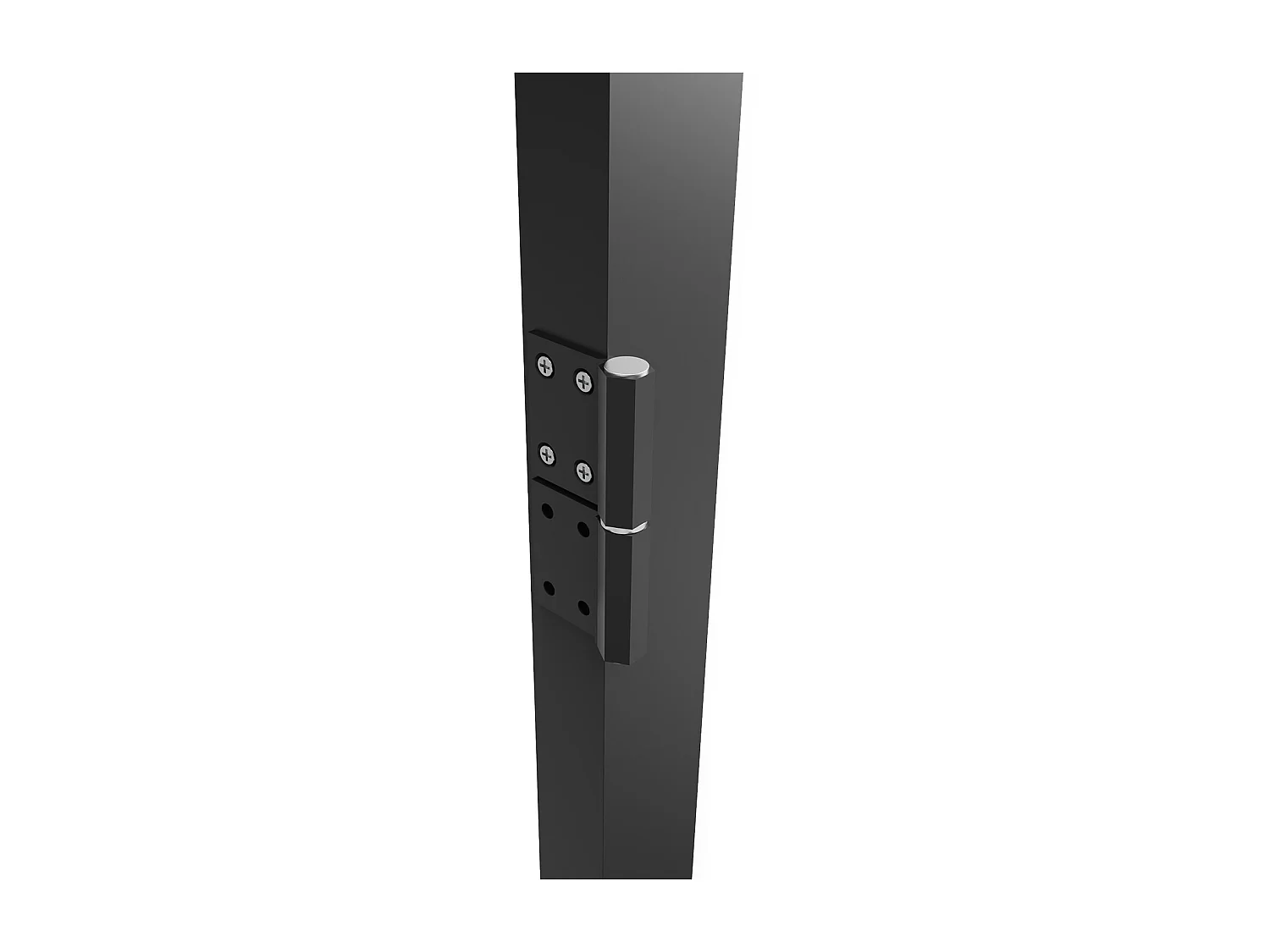 Bloc porte réversible en aluminium et verre trempé - H204 x L73 cm - Noir - LOXTON