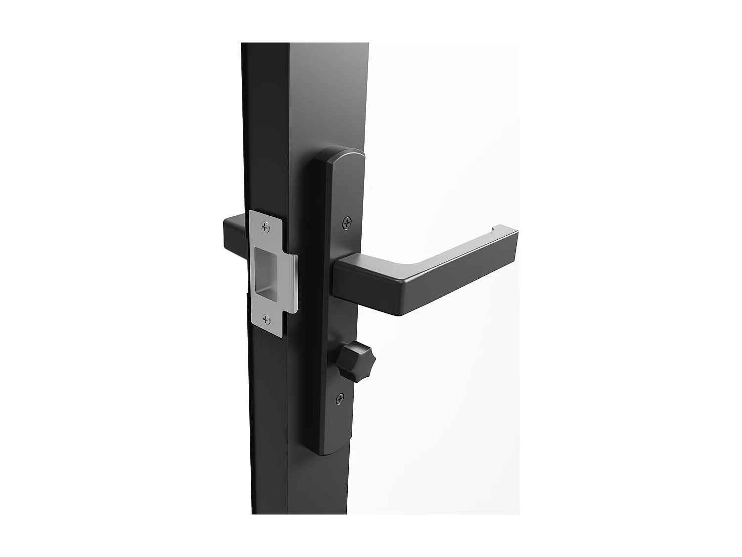 Omkeerbare dubbele deur van aluminium en gehard glas - Zwart - 2 x H204 x B73 cm - LOXTON