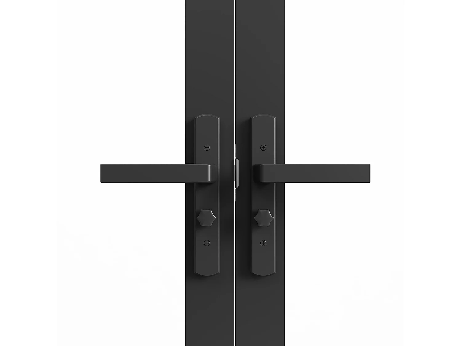 Omkeerbare dubbele deur van aluminium en gehard glas - Zwart - 2 x H204 x B73 cm - LOXTON