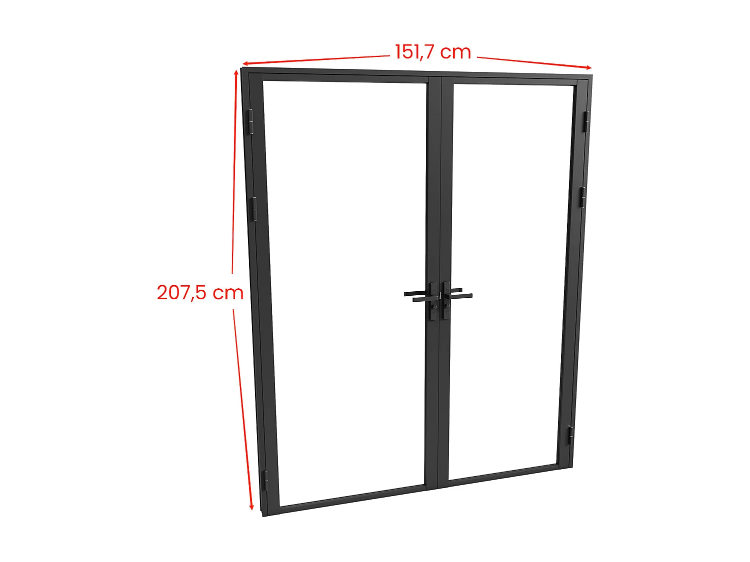 Omkeerbare dubbele deur van aluminium en gehard glas - Zwart - 2 x H204 x B73 cm - LOXTON