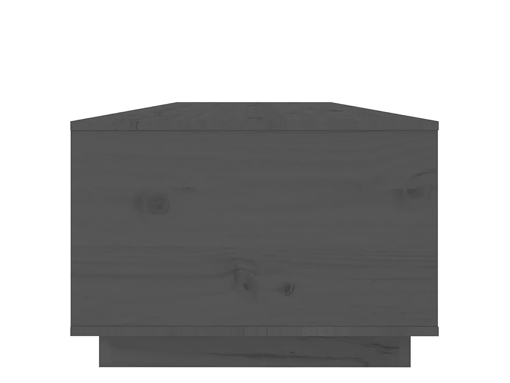 Gold Couchtisch Grau 100x50x35 cm Massives Kiefernholz