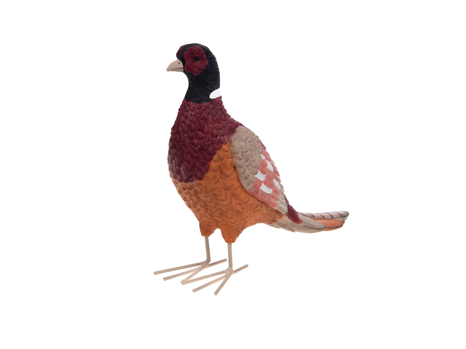 Faisan coloré 24,5 cm