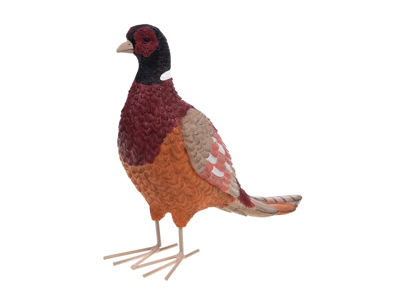 Faisan coloré 24,5 cm