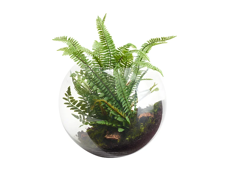 Fougère en Terrarium à suspendre