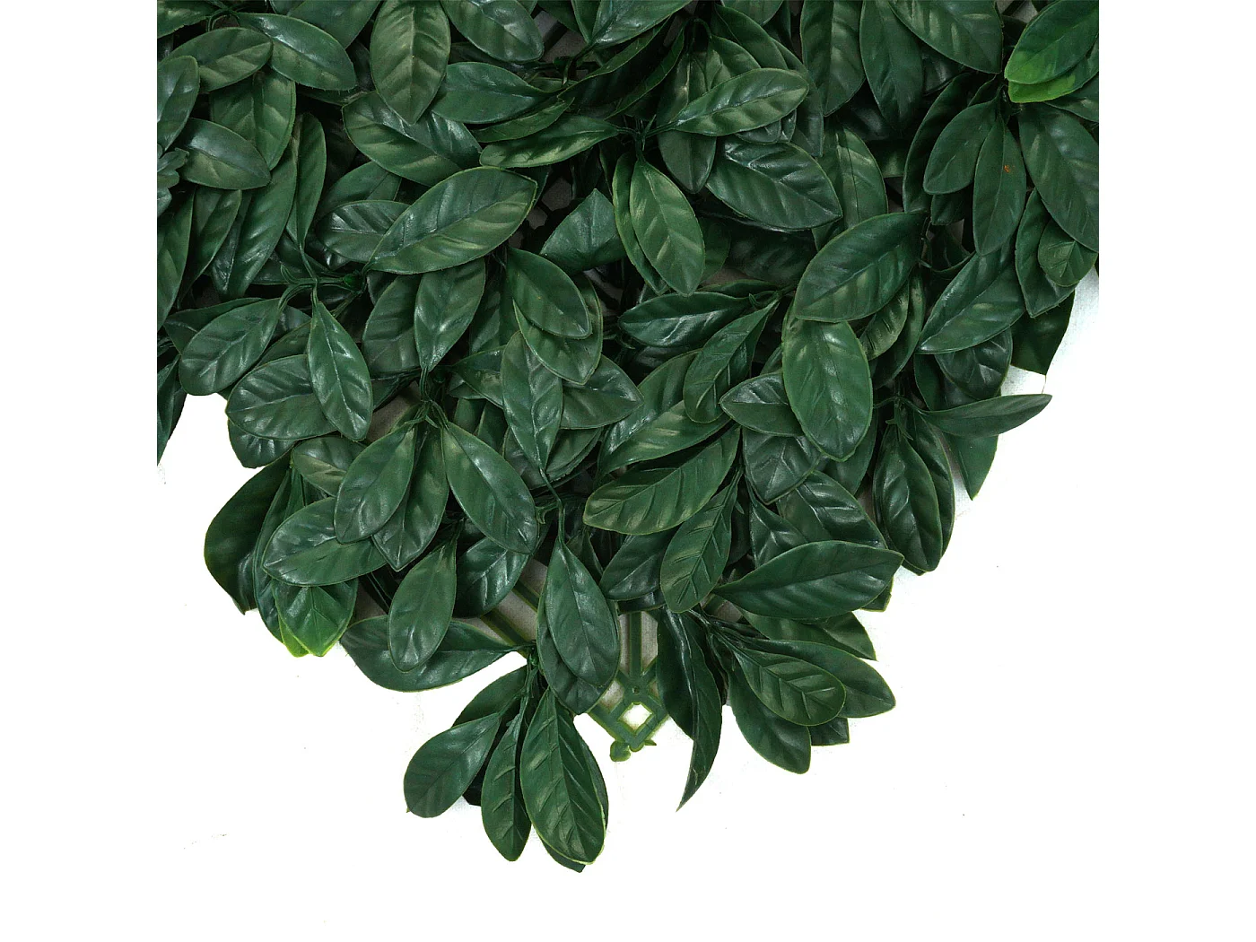 Pannelli erba finta artificiale da parete decorativa privacy antivento MCW-L78 4x 50x50cm = 1m² alloro verde