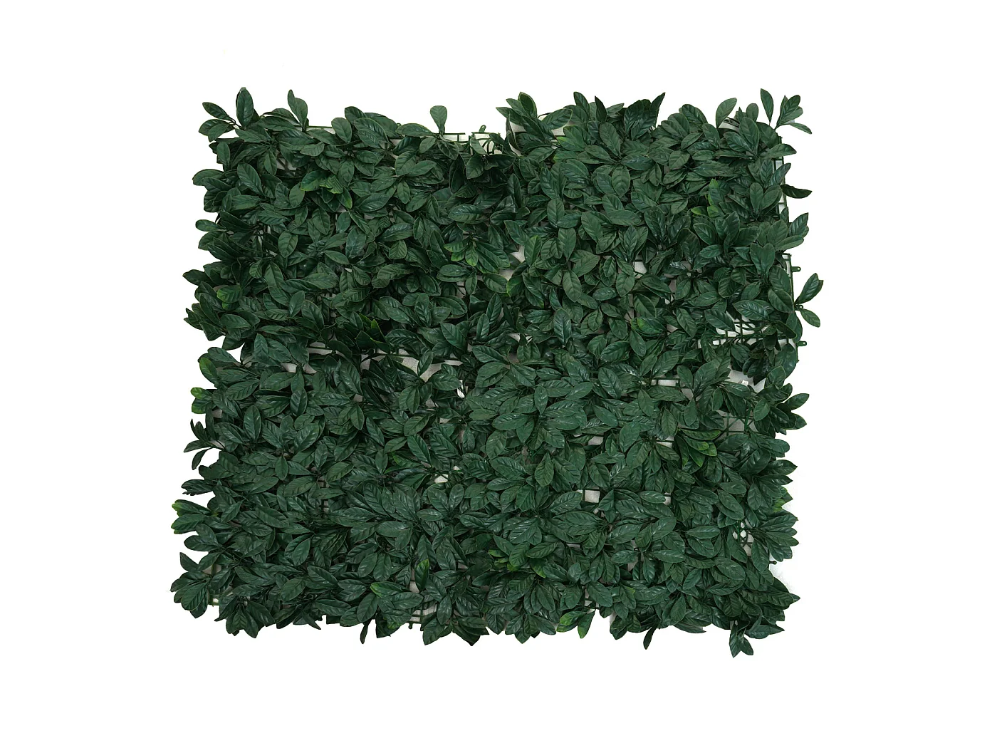 Wandtegel MCW-L78,  laurel green
