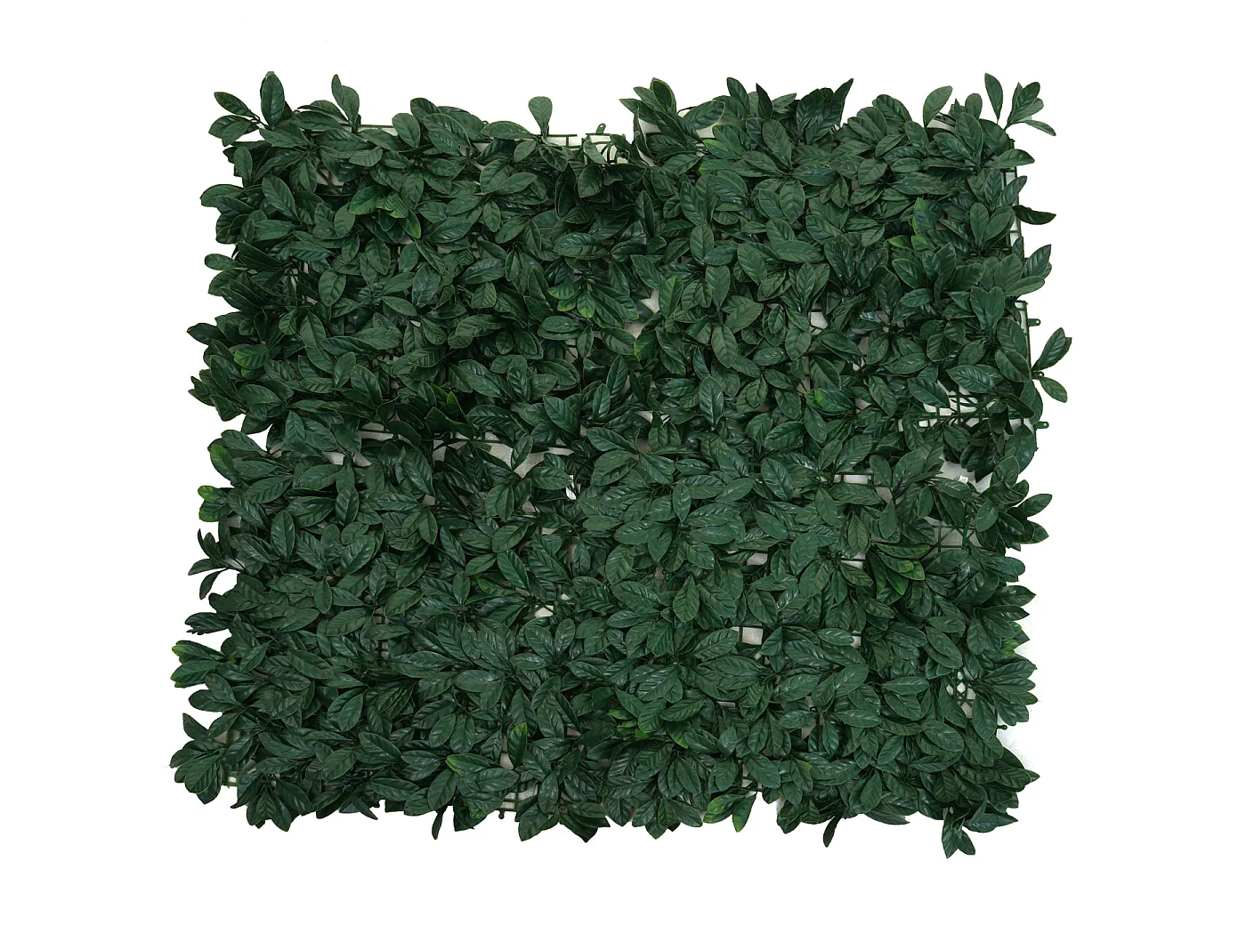 Carreau de mur MCW-L78,  Laurier vert