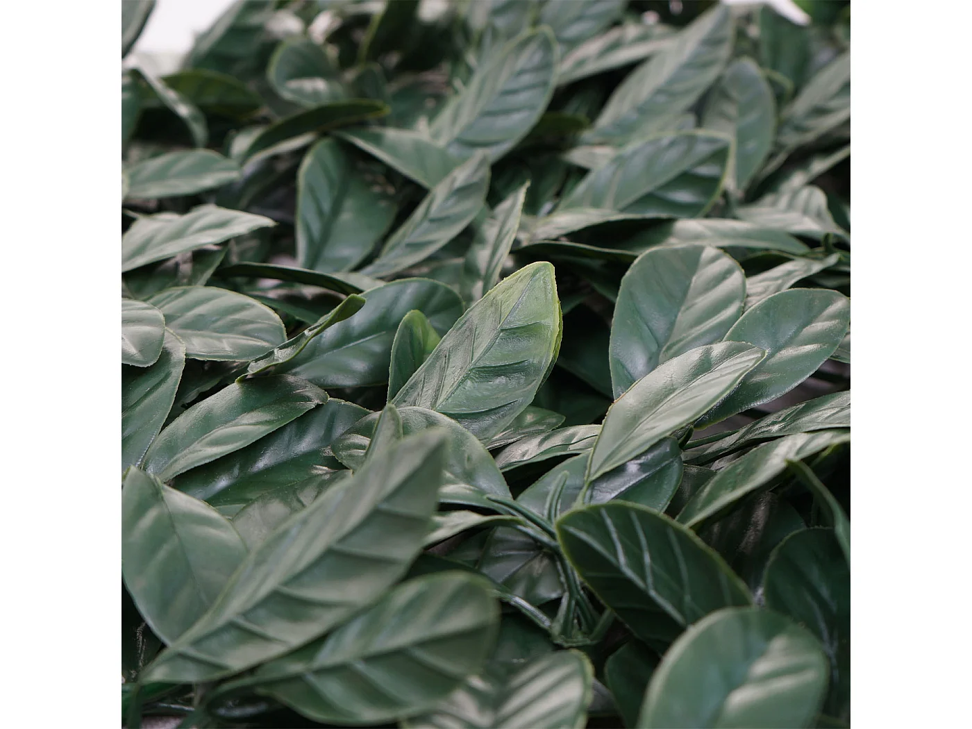 Płytka ścienna MCW-L78,  kolor zielony laurowy