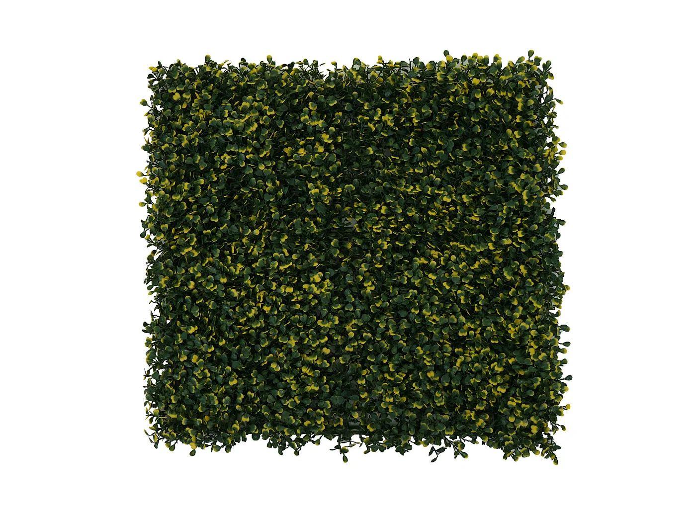 Wandtegel MCW-L78,  buxus groen-geel