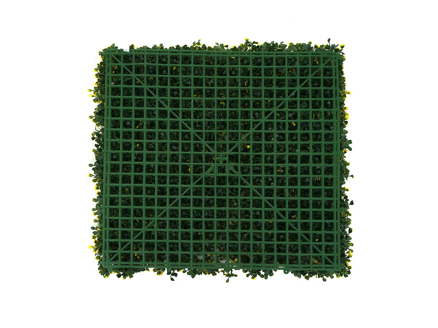Wandtegel MCW-L78,  buxus groen-geel