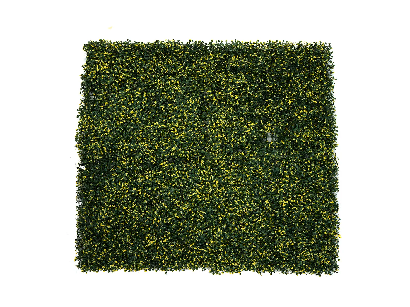Wandtegel MCW-L78,  buxus groen-geel