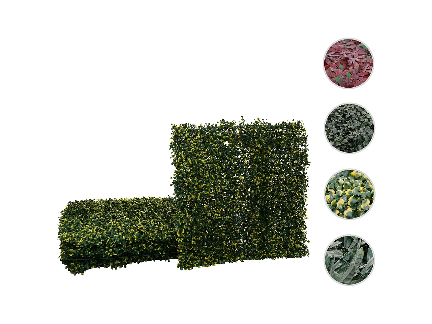 Wandtegel MCW-L78,  buxus groen-geel