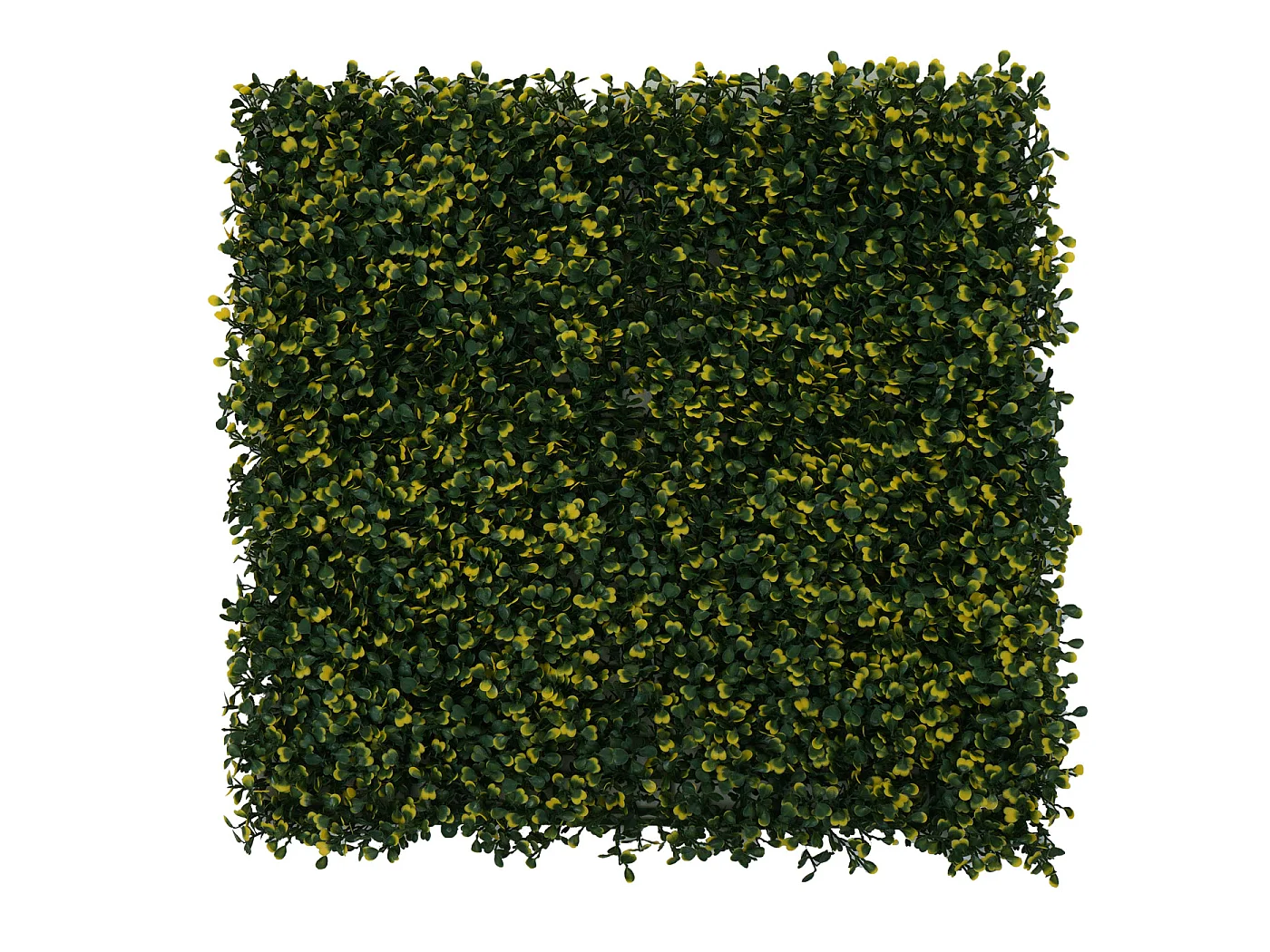 Carreau de mur MCW-L78,  Buis vert-jaune