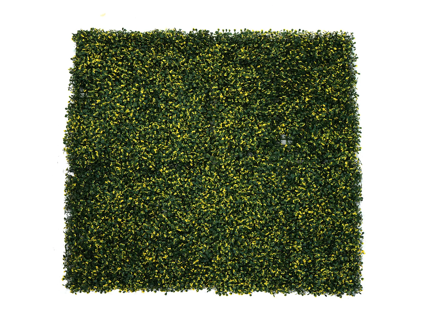 Carreau de mur MCW-L78,  Buis vert-jaune