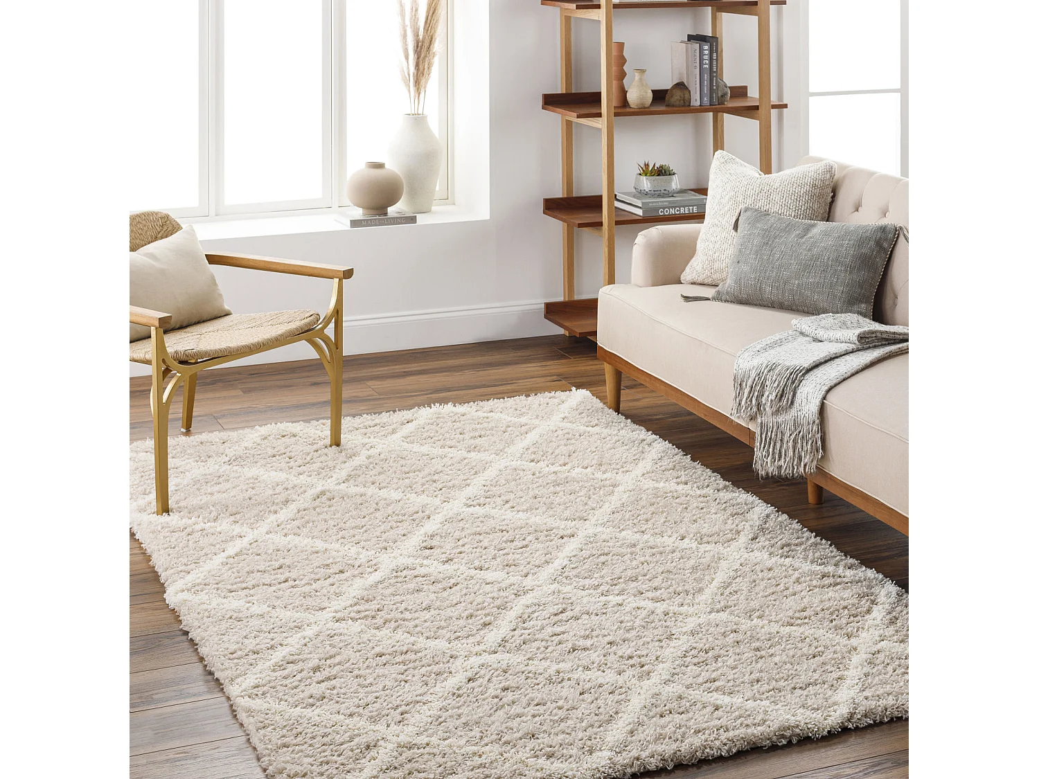 Tapis Shaggy Scandinave - Bohème - Blanc/Beige - 160x220cm - JANE