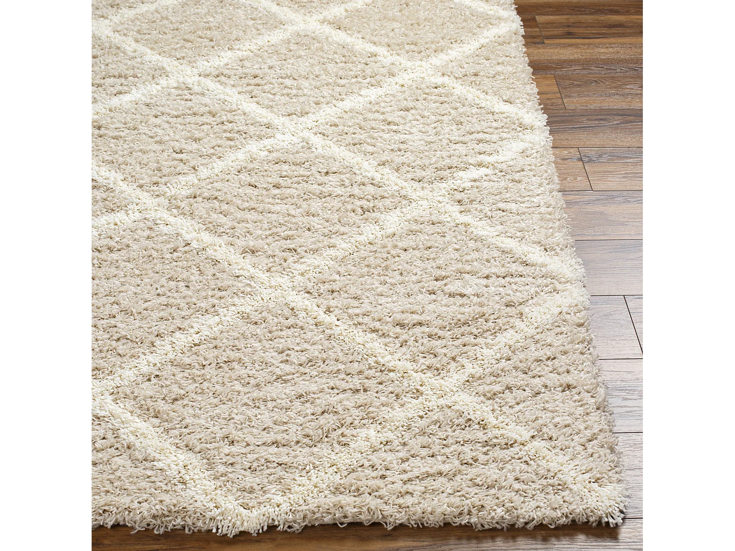 Tapis Shaggy Scandinave - Bohème - Blanc/Beige - 160x220cm - JANE