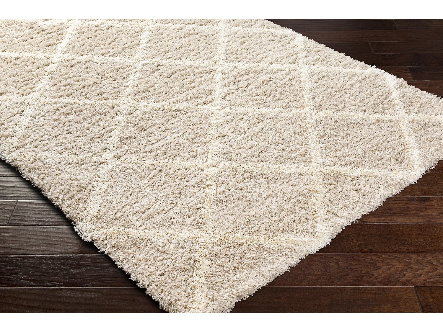 Tapis Shaggy Scandinave - Bohème - Blanc/Beige - 160x220cm - JANE