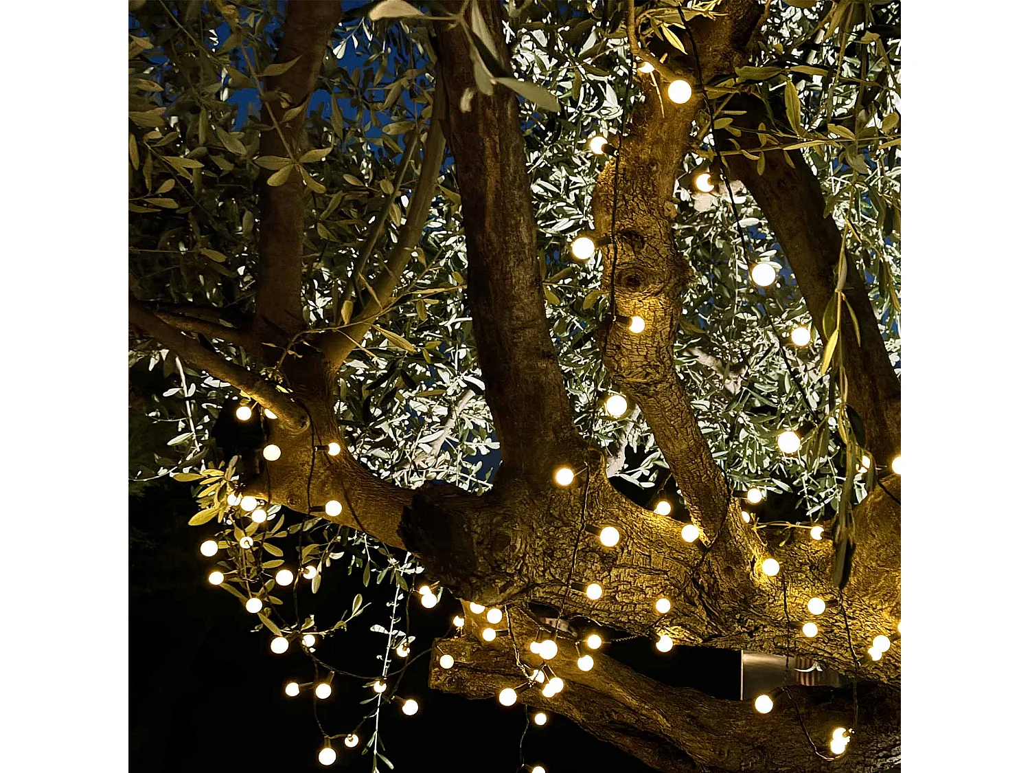 Luci solari a stringa 60LED BILLY