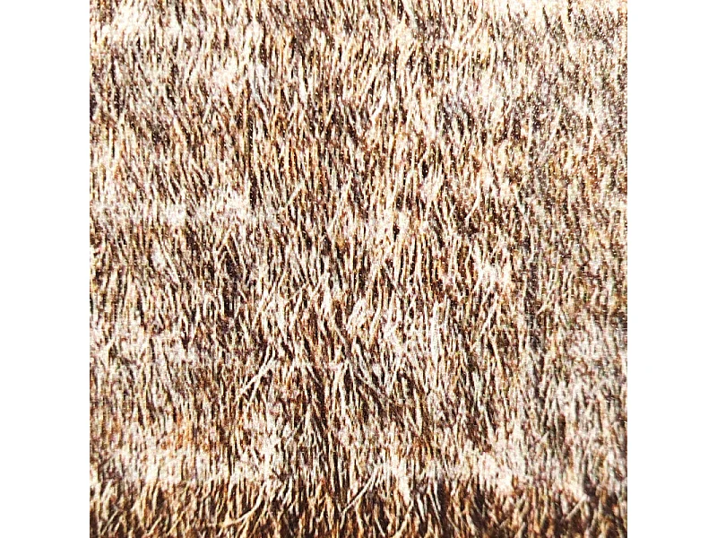 Tableau imprimé maison sur pilotis et cadre bois noir 60x90 cm - BORA