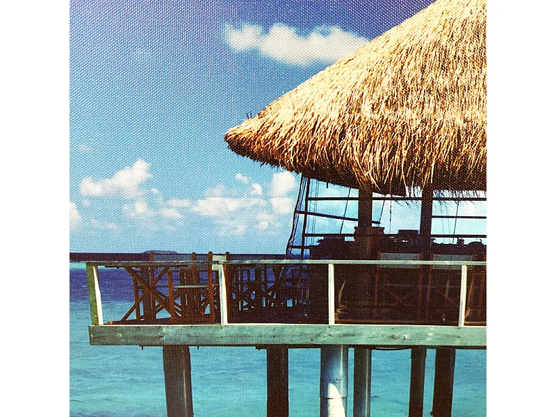 Tableau imprimé maison sur pilotis et cadre bois noir 60x90 cm - BORA