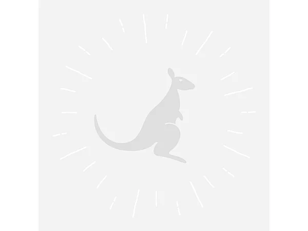 Trampoline de jardin 305 cm + filet de sécurité + échelle + bâche de protection JUMPI Vert/Noir 300