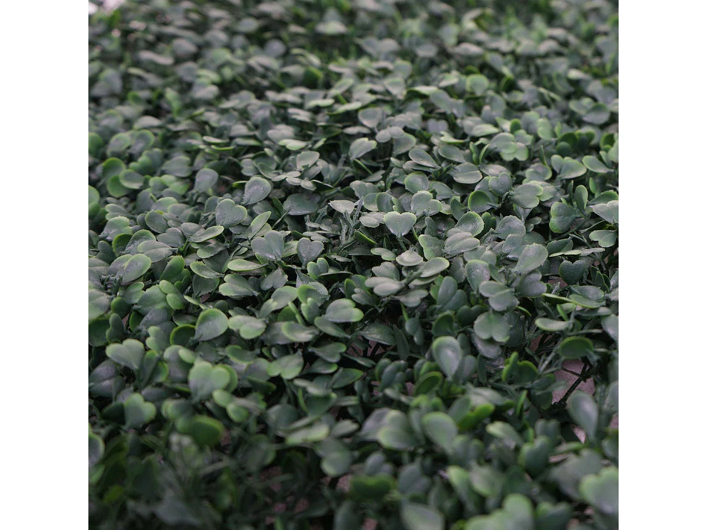 Pannelli erba finta artificiale da parete decorativa privacy antivento MCW-L78 4x 50x50cm = 1m² foglie verdi