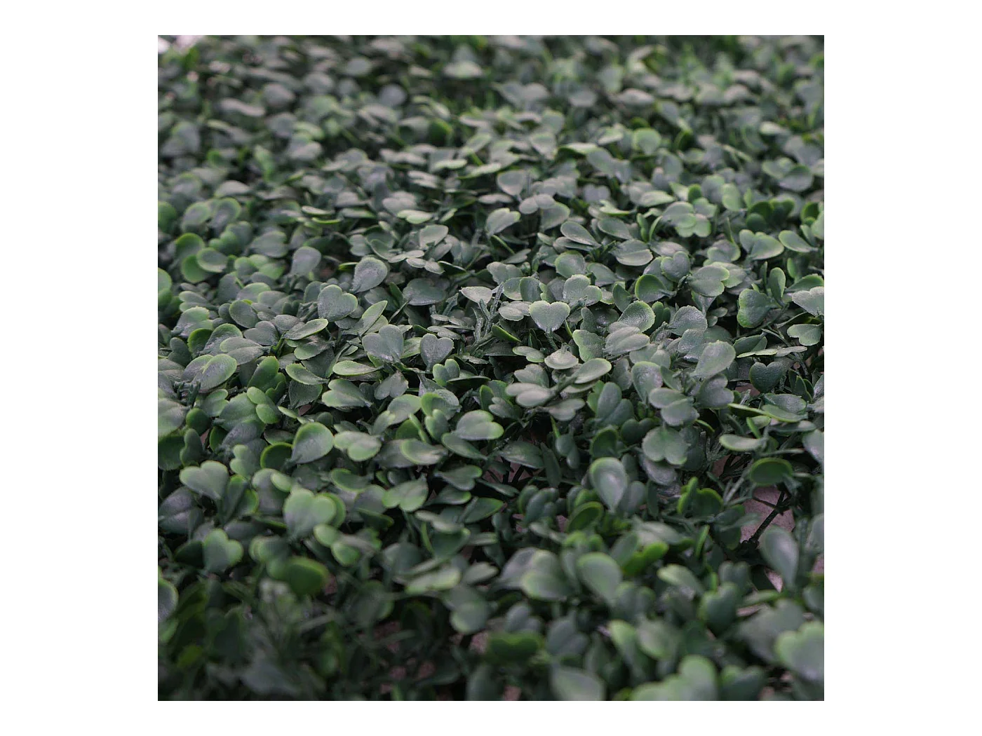 Wandtegel MCW-L78,  buxus groen