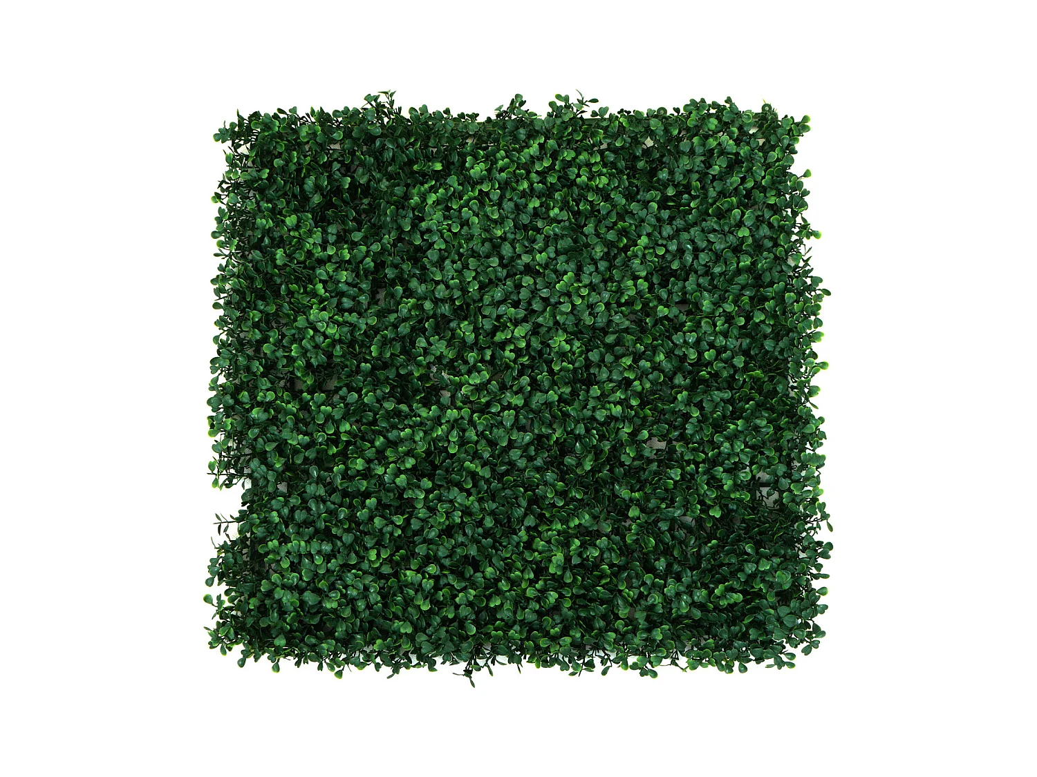 Wandtegel MCW-L78,  buxus groen