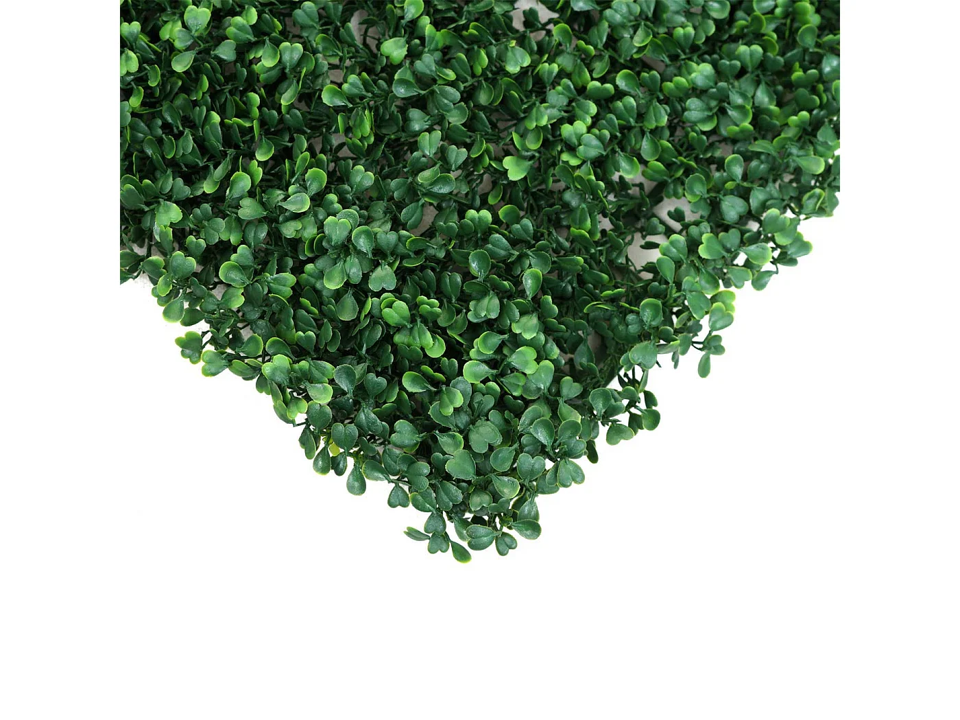 Carreau de mur MCW-L78,  Buis vert