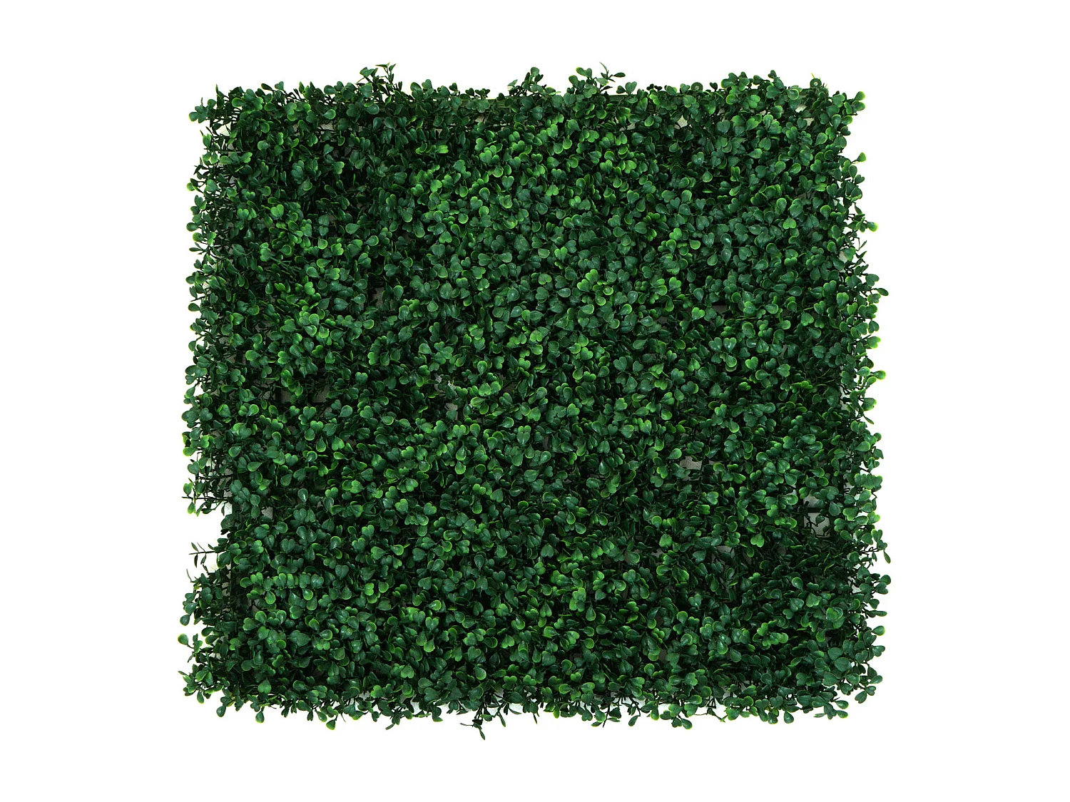 Carreau de mur MCW-L78,  Buis vert