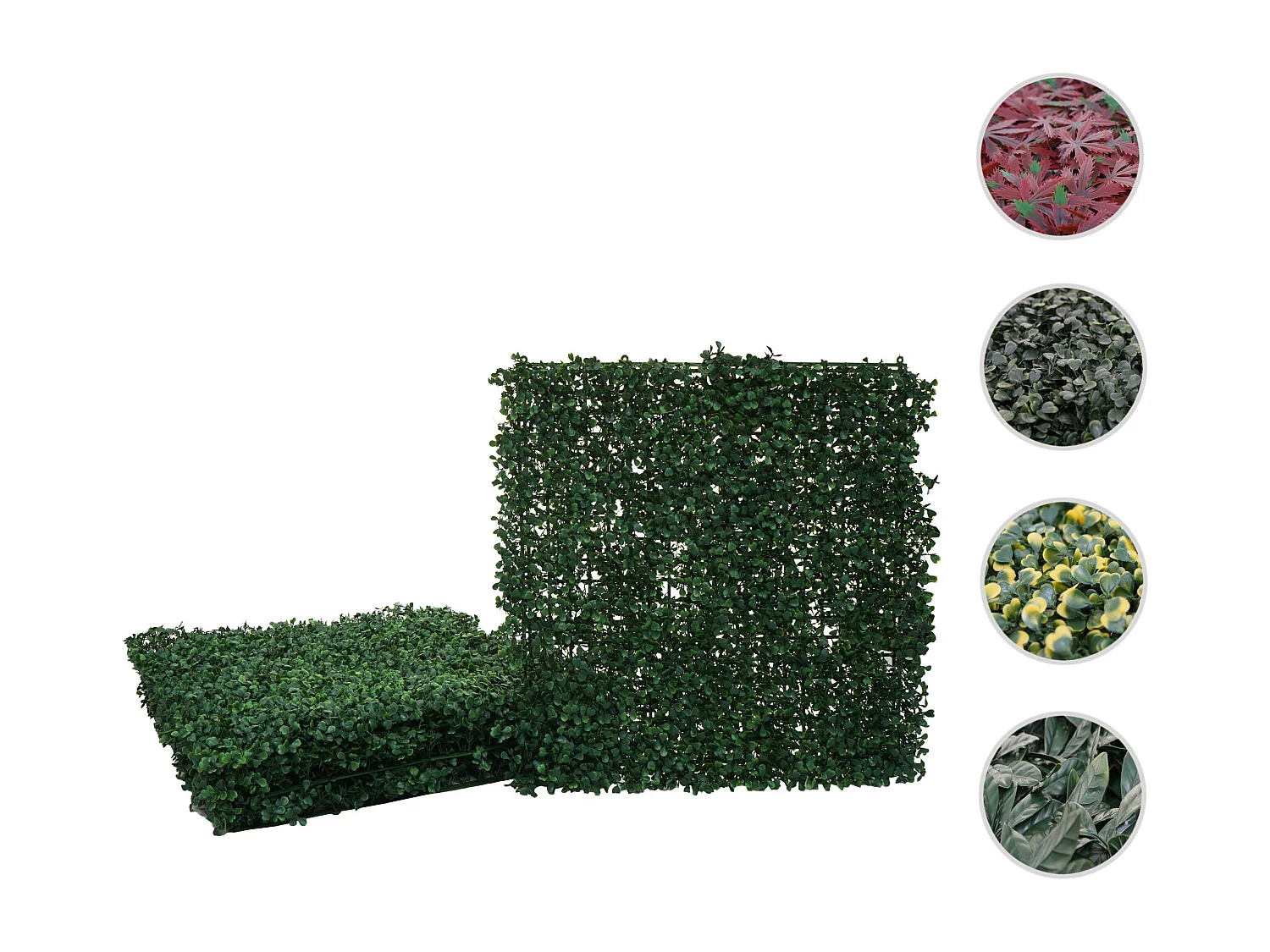 Carreau de mur MCW-L78,  Buis vert