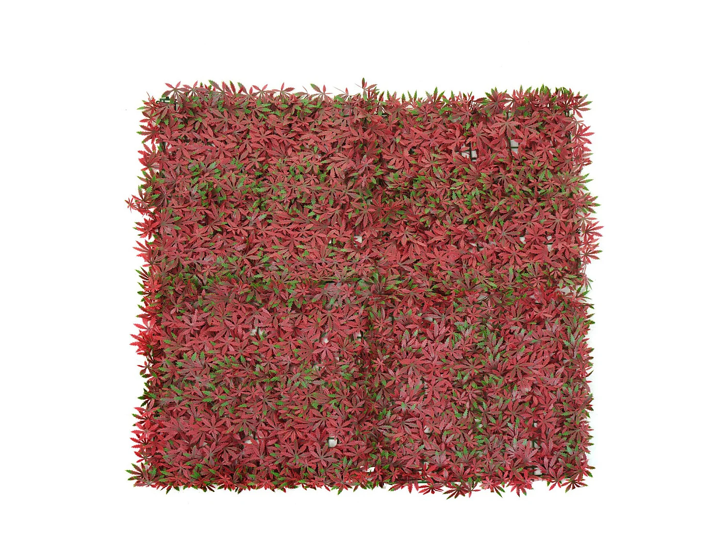 Azulejo de parede MCW-L78,  vermelho bordo