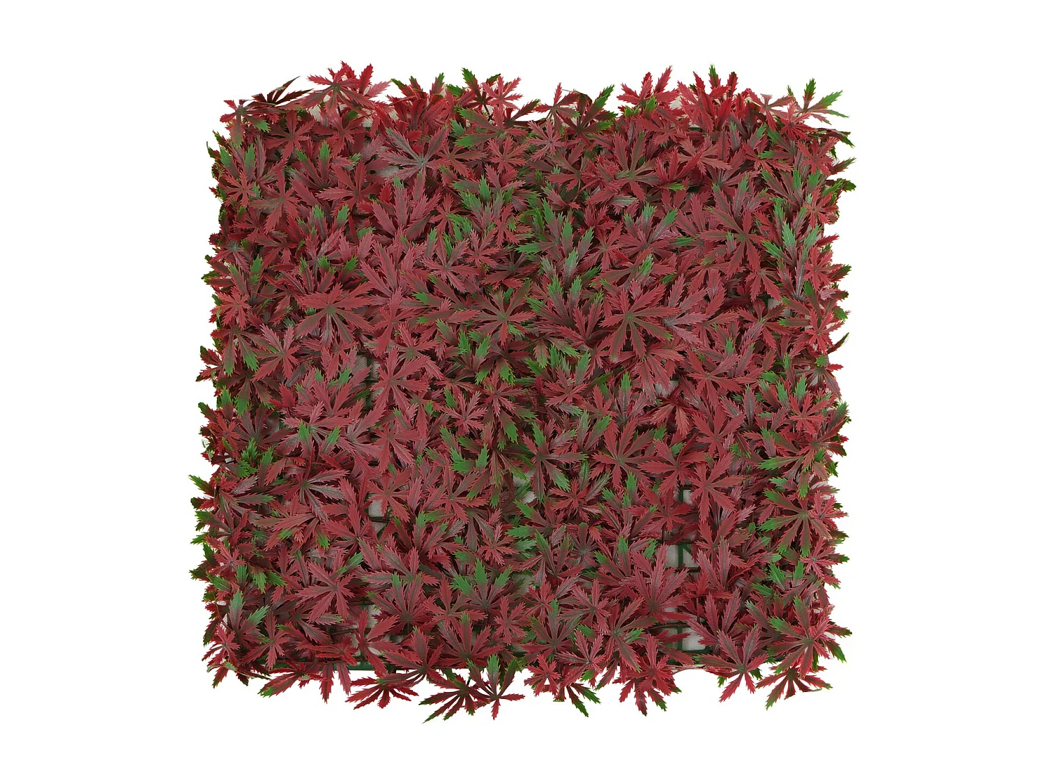 Azulejo de parede MCW-L78,  vermelho bordo