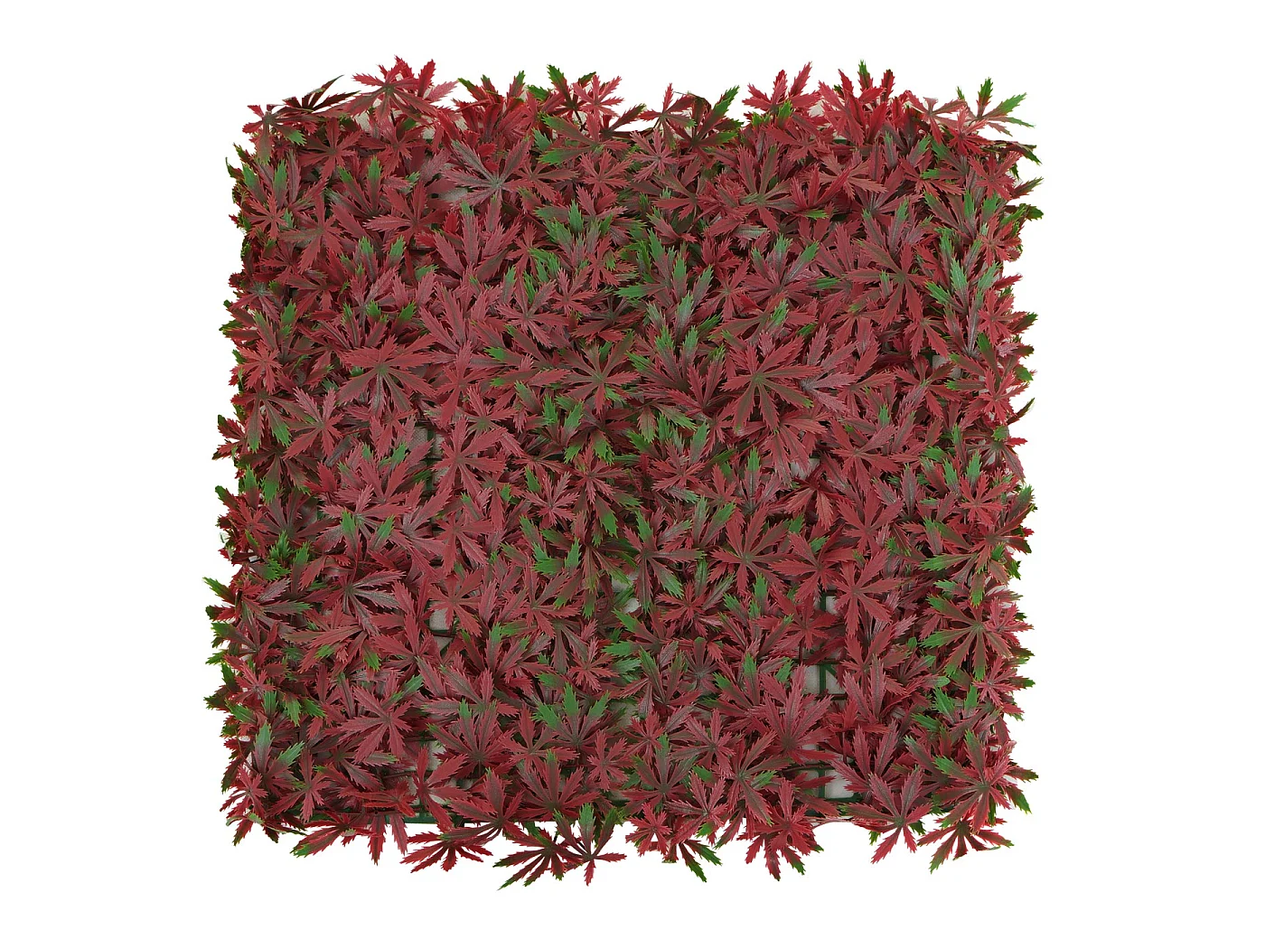 Płytka ścienna MCW-L78,  klon czerwony