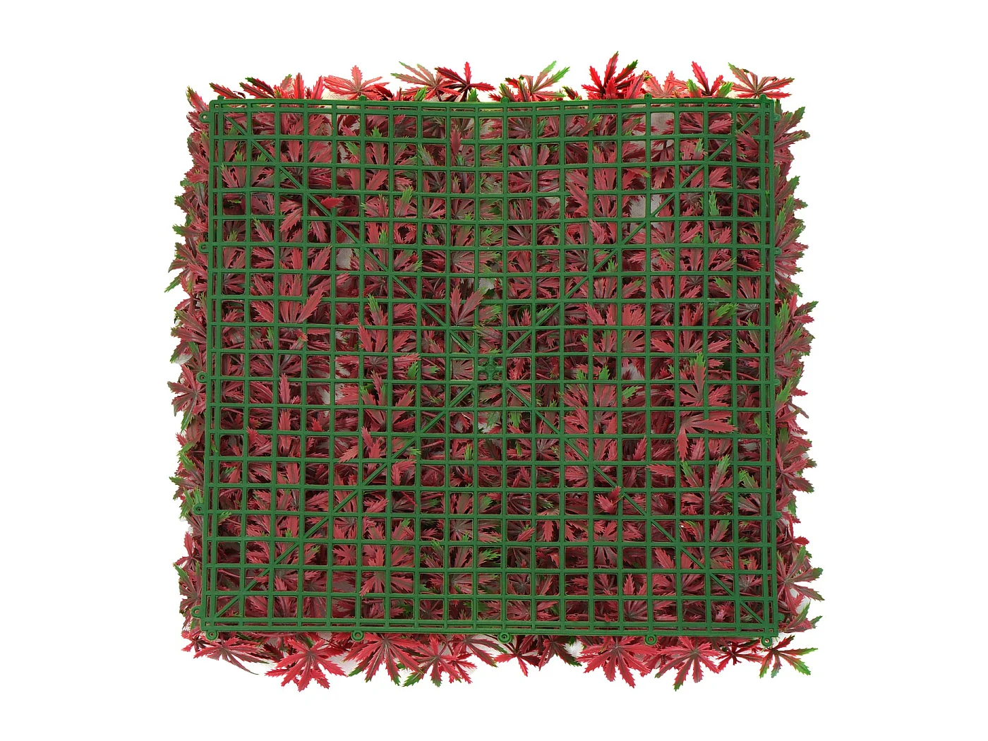 Płytka ścienna MCW-L78,  klon czerwony