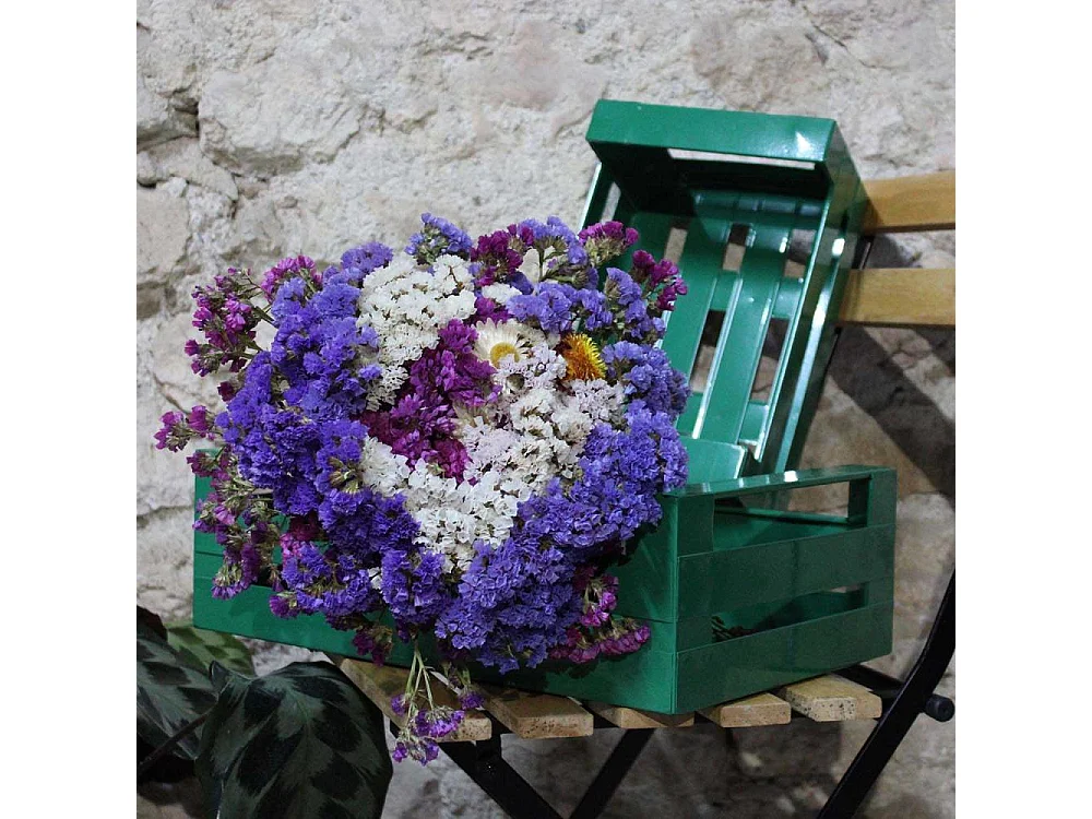 Cagette en métal coloré (Lot de 2)