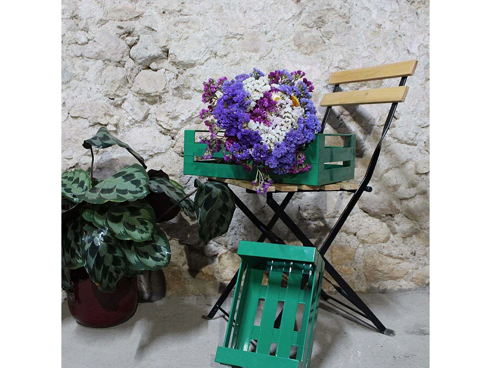 Cagette en métal coloré (Lot de 2)