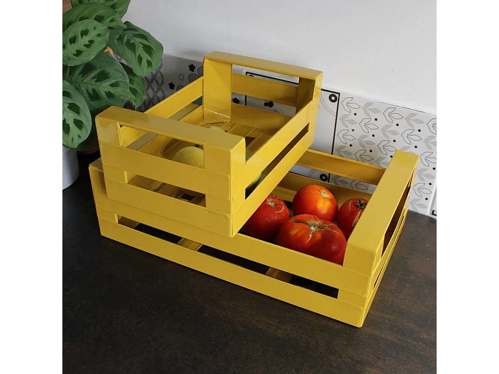 Cagette en métal coloré (Lot de 2)