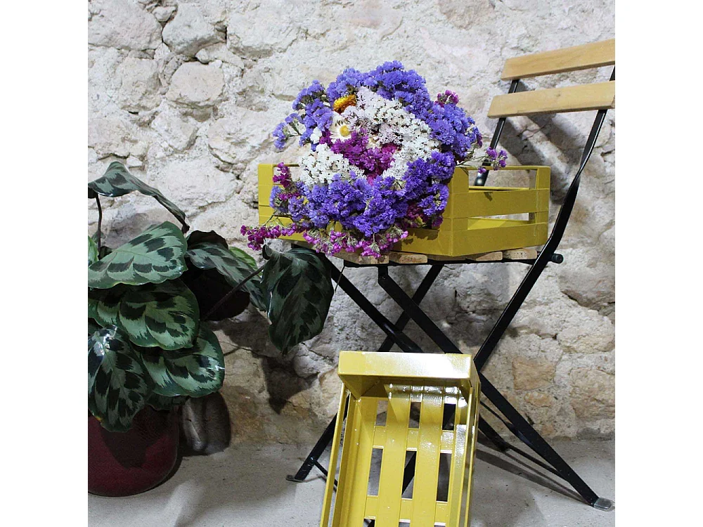 Cagette en métal coloré (Lot de 2)