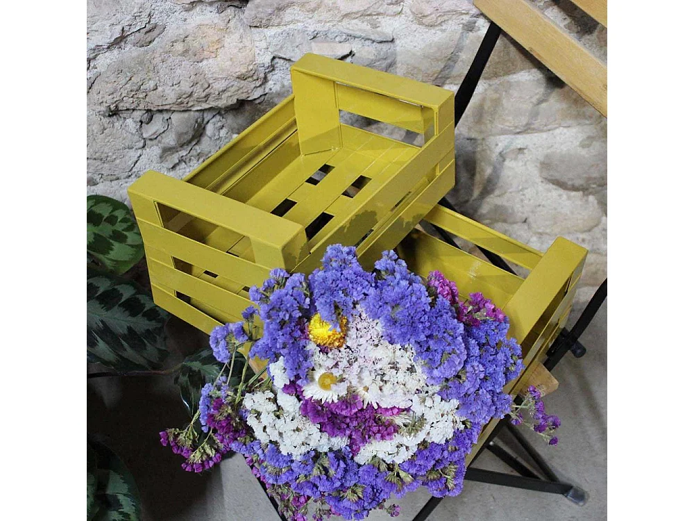 Cagette en métal coloré (Lot de 2)