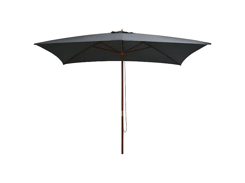 Parasol d'extérieur avec mât en bois 200 x 300 cm Anthracite WVGQ6576
