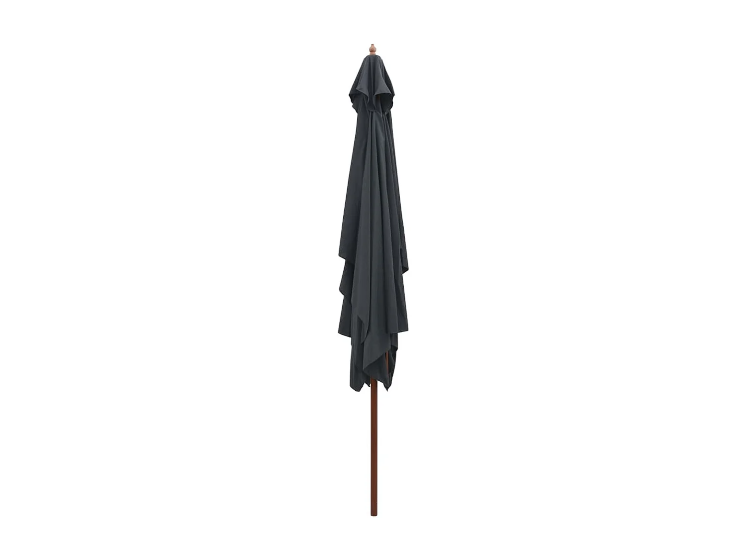 Parasol d'extérieur avec mât en bois 200 x 300 cm Anthracite WVGQ6576
